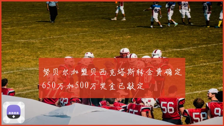 努贝尔加盟贝西克塔斯转会费确定650万加500万奖金已敲定
