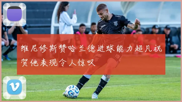 维尼修斯赞哈兰德进球能力超凡祝贺他表现令人惊叹